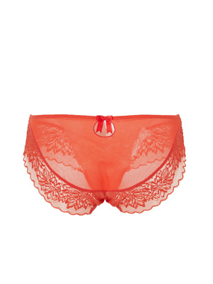 Bustyパンティ 詳細画像